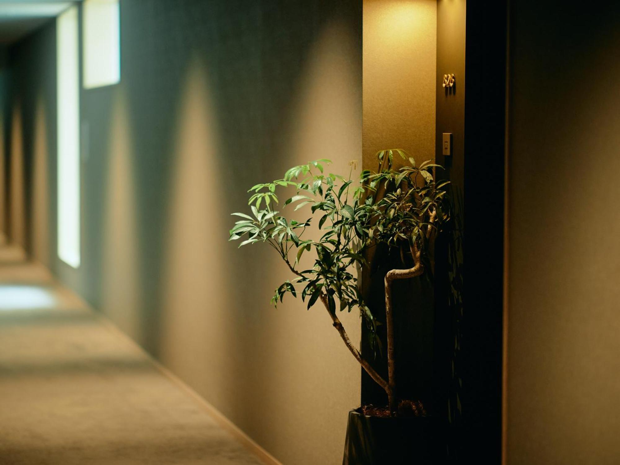 Good Nature Hotel Quioto Quarto foto A corridor in a hotel